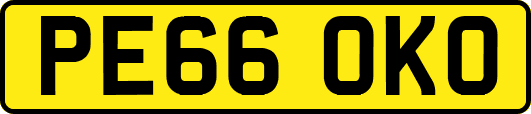 PE66OKO