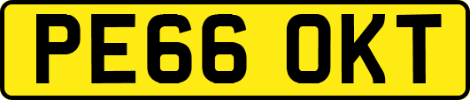 PE66OKT