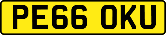 PE66OKU