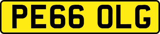 PE66OLG