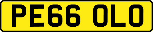 PE66OLO