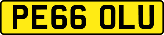 PE66OLU