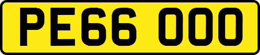 PE66OOO