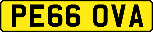 PE66OVA