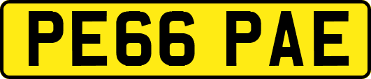 PE66PAE