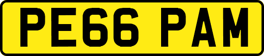 PE66PAM