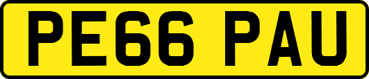 PE66PAU