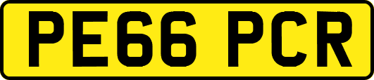 PE66PCR