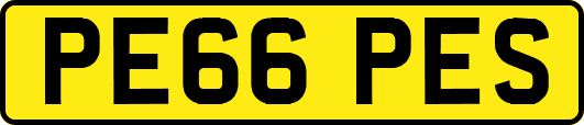 PE66PES