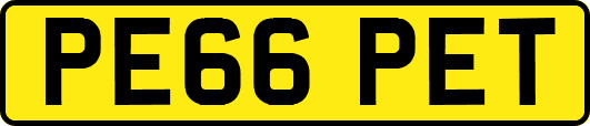 PE66PET