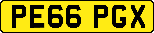 PE66PGX