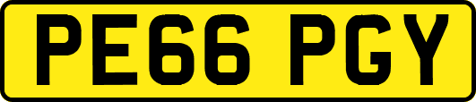 PE66PGY