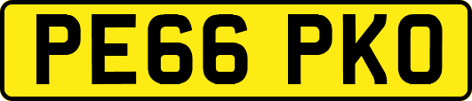 PE66PKO