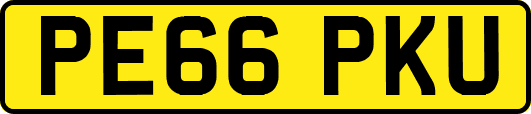 PE66PKU