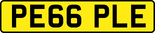 PE66PLE