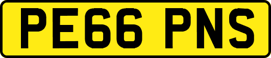 PE66PNS