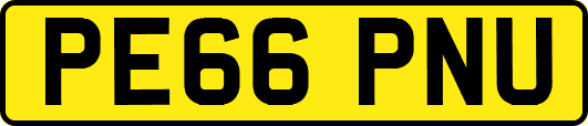 PE66PNU