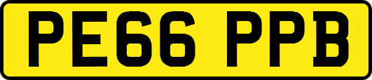 PE66PPB