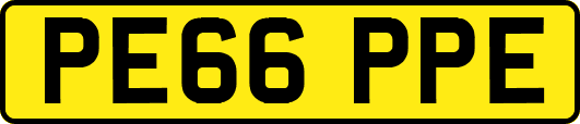 PE66PPE