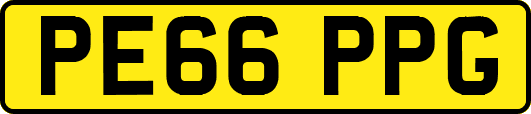 PE66PPG