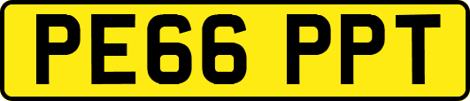 PE66PPT