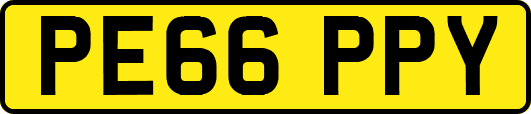 PE66PPY