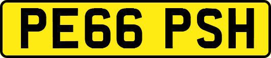 PE66PSH