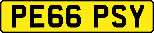 PE66PSY