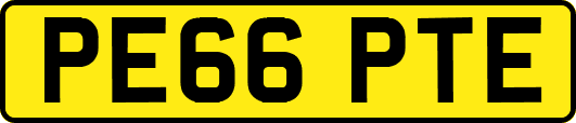 PE66PTE