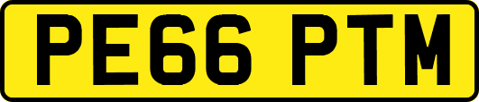 PE66PTM
