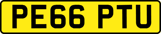 PE66PTU