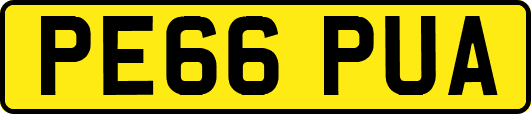 PE66PUA