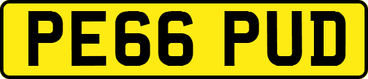 PE66PUD