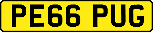 PE66PUG