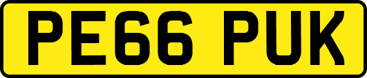 PE66PUK