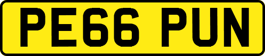 PE66PUN