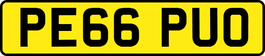 PE66PUO