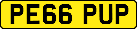 PE66PUP
