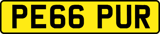 PE66PUR