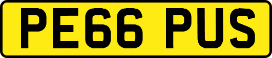 PE66PUS