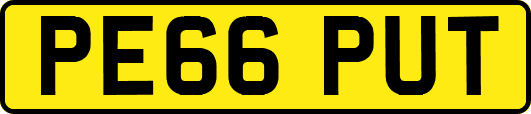 PE66PUT