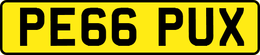 PE66PUX