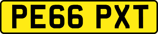 PE66PXT