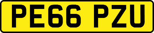 PE66PZU