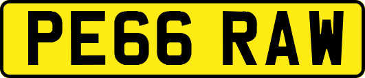 PE66RAW