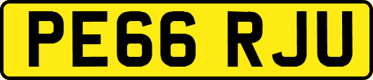 PE66RJU