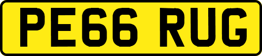 PE66RUG