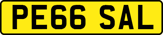 PE66SAL