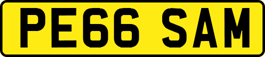 PE66SAM
