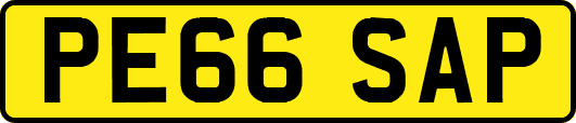 PE66SAP